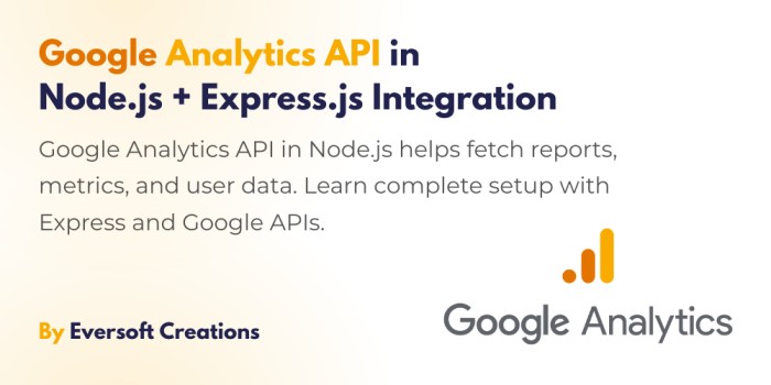 Google Analytics API