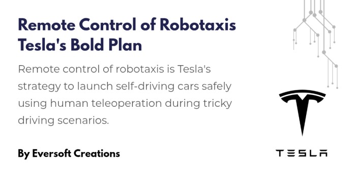 remote control of robotaxis